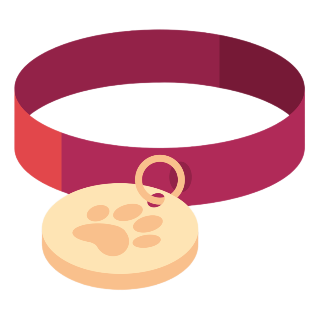 accessory