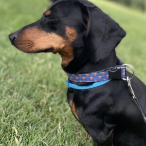 قلاده گردنی collar طرح سوپرمن برند BEE